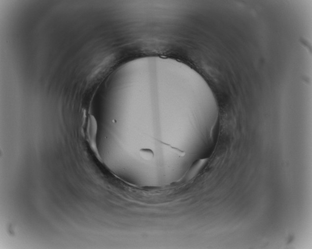 X0000099230027200805011146