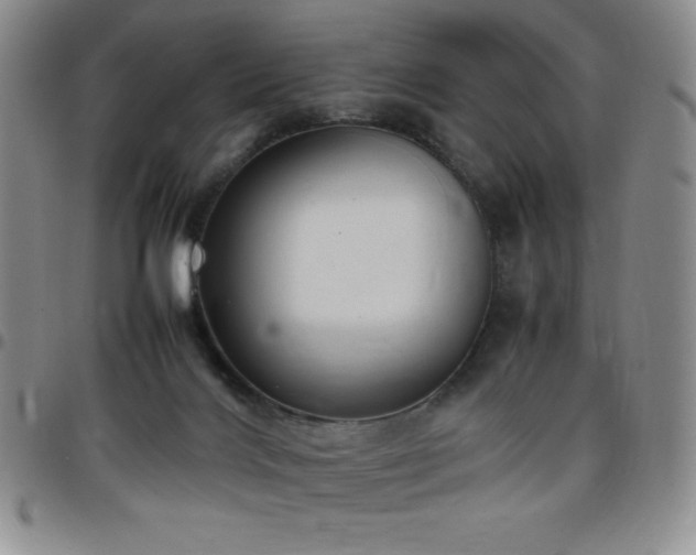 X0000099230028200805011146