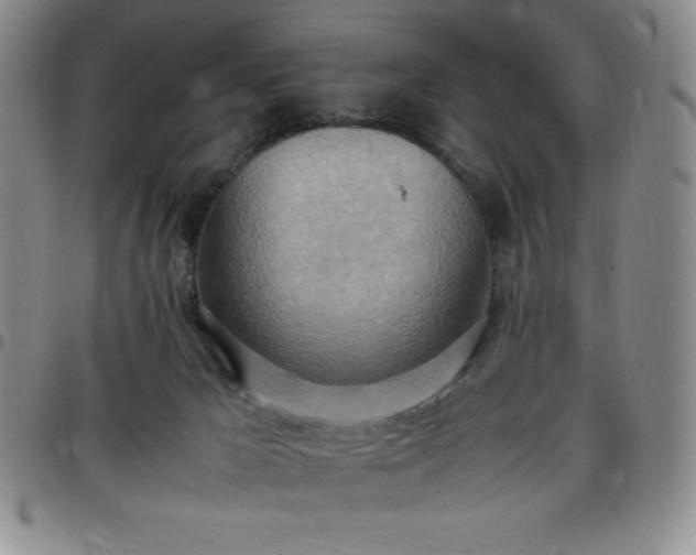 X0000099230029200805011146