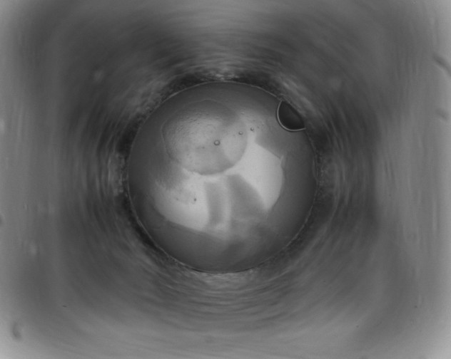 X0000099230030200805011146