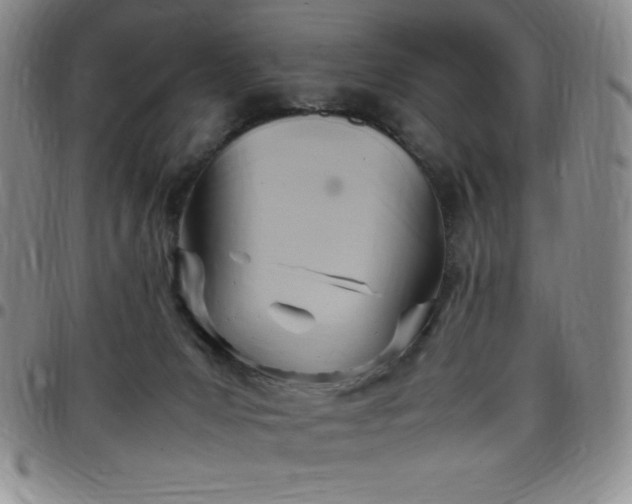 X0000099230031200805011146