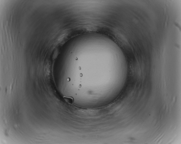 X0000099230032200805011146