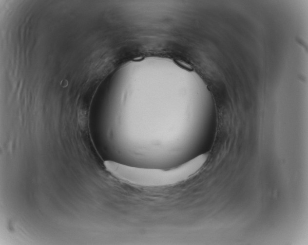 X0000099230033200805011146