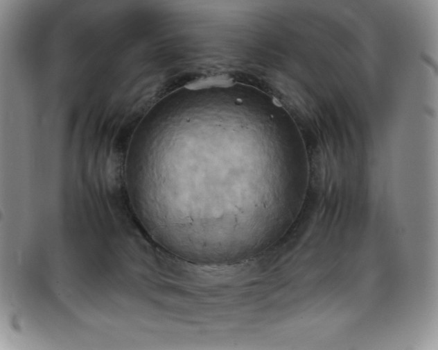 X0000099230034200805011146