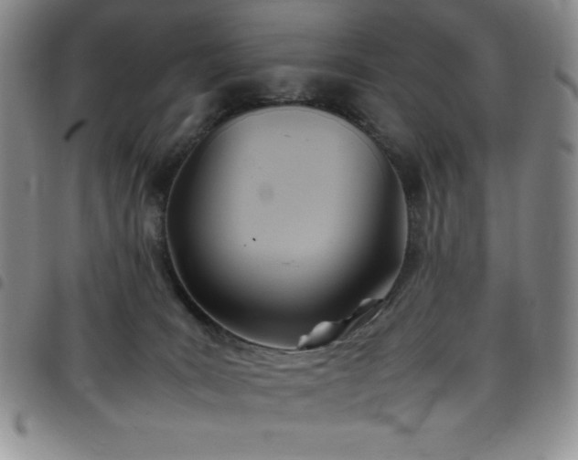 X0000099230035200805011146