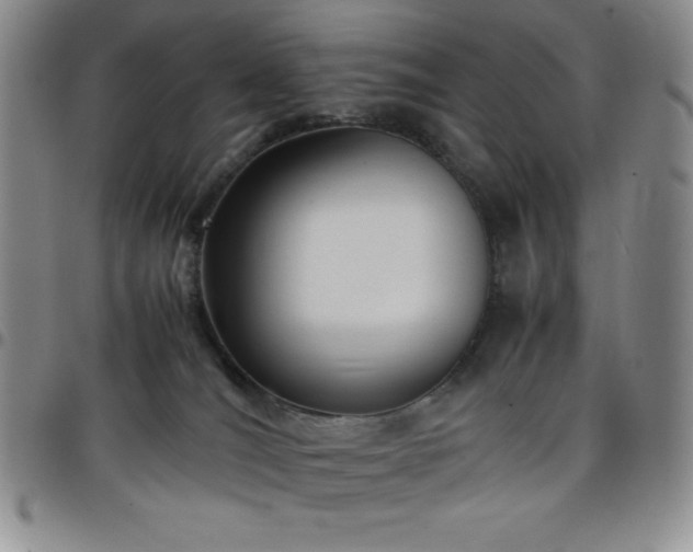 X0000099230036200805011146