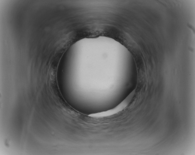 X0000099230037200805011146