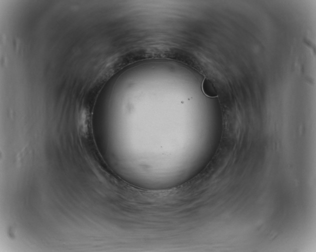 X0000099230038200805011146