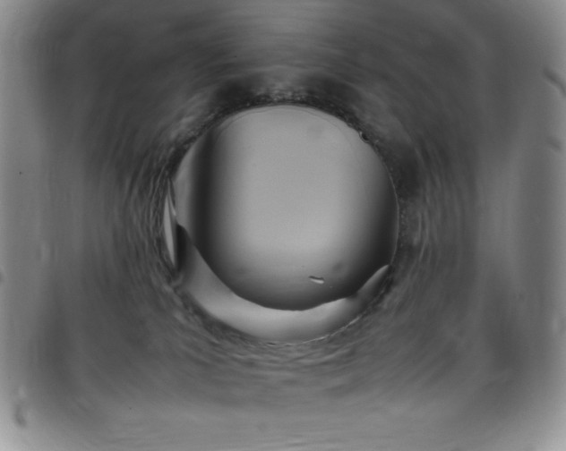 X0000099230039200805011146