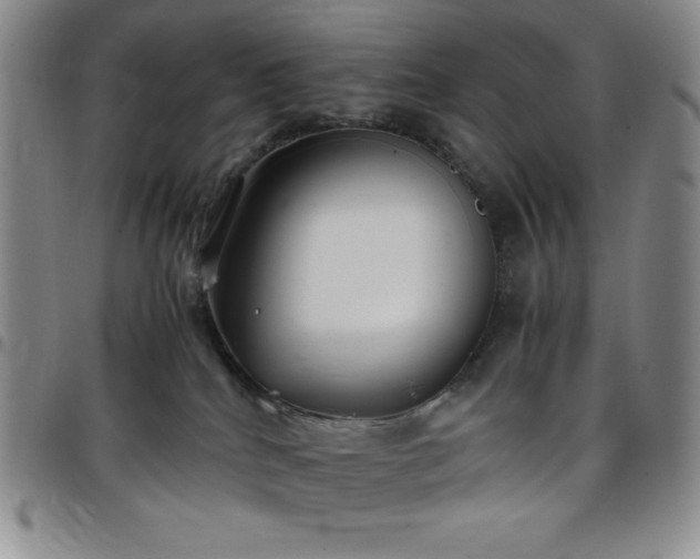 X0000099230040200805011146