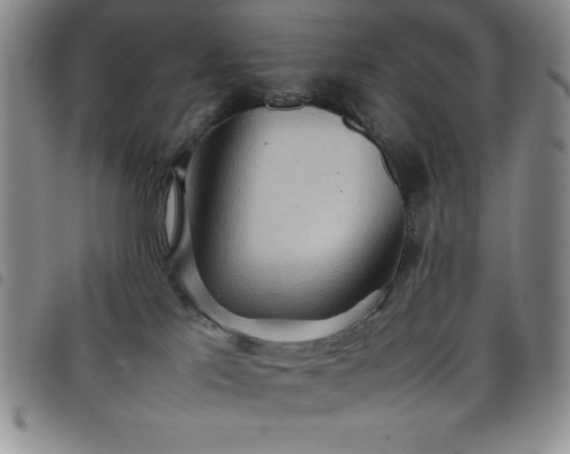 X0000099230041200805011146