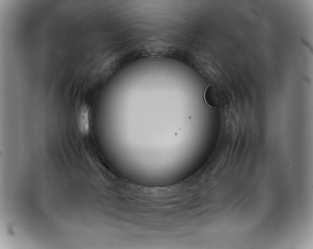 X0000099230042200805011146