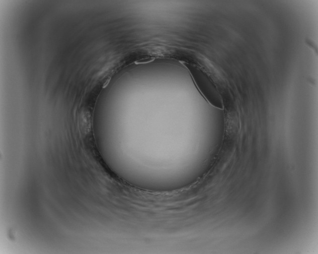 X0000099230043200805011146