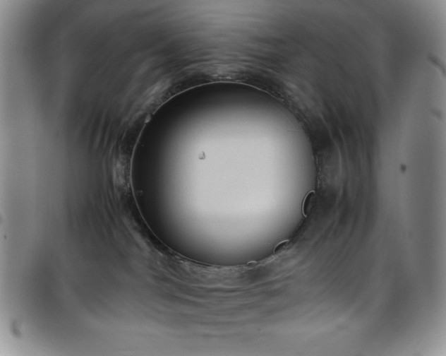 X0000099230044200805011146