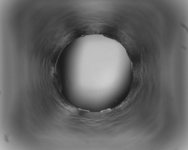 X0000099230045200805011146