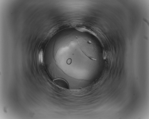 X0000099230046200805011146