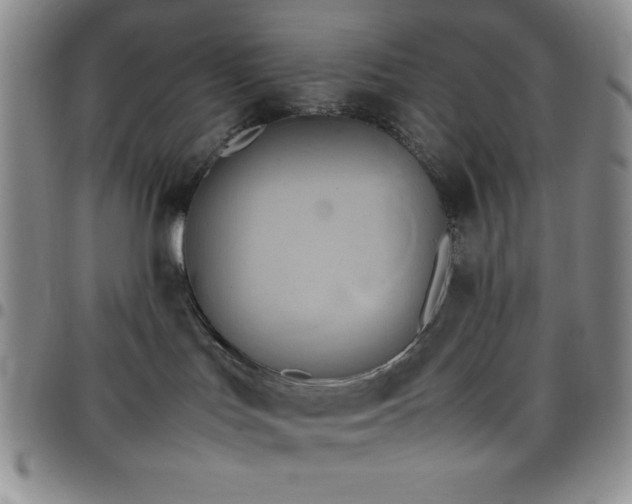 X0000099230047200805011146