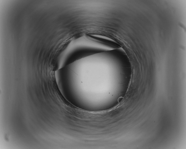 X0000099230048200805011146