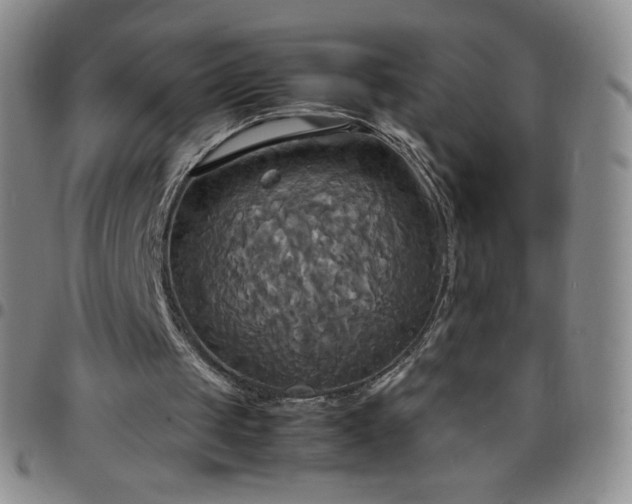 X0000099230049200805011145