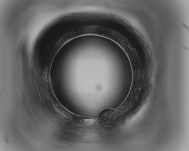 X0000099230050200805011145