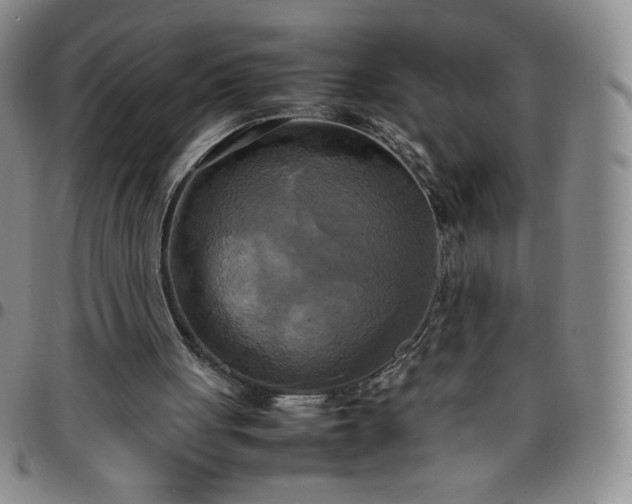 X0000099230051200805011145