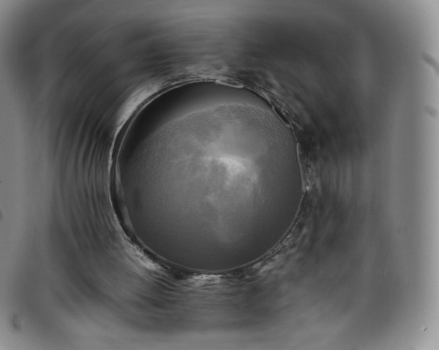 X0000099230052200805011145