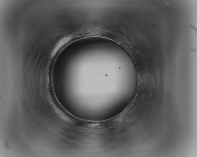 X0000099230054200805011145