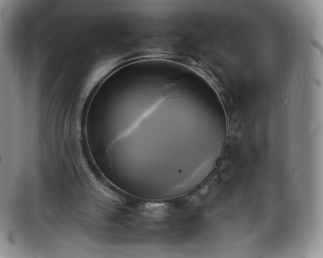 X0000099230055200805011145