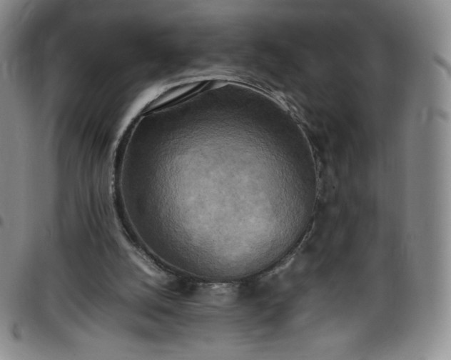 X0000099230056200805011145