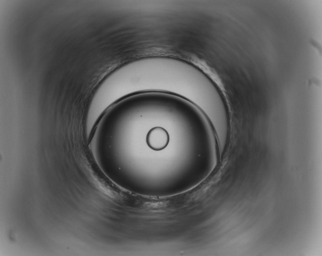 X0000099230057200805011145