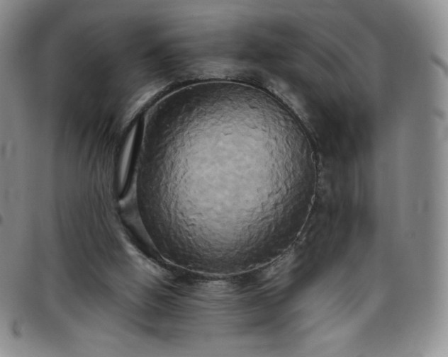 X0000099230058200805011145