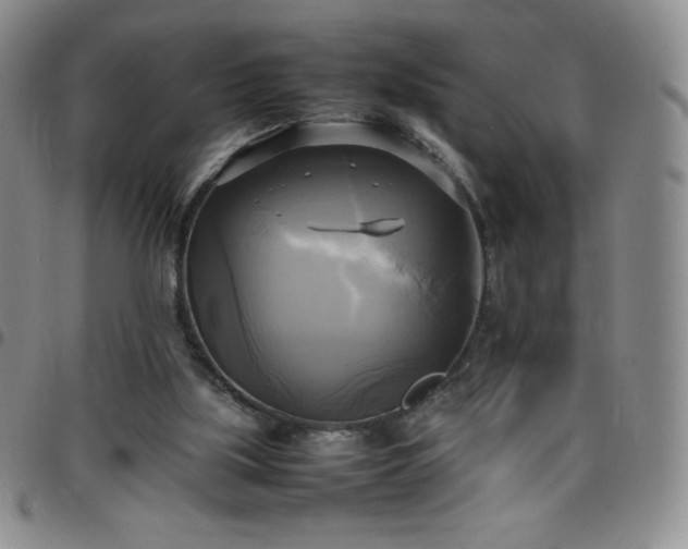 X0000099230059200805011145