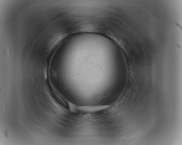 X0000099230062200805011145