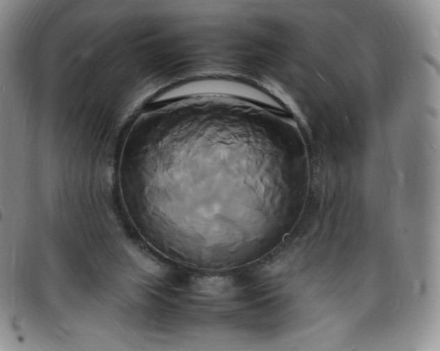 X0000099230063200805011145