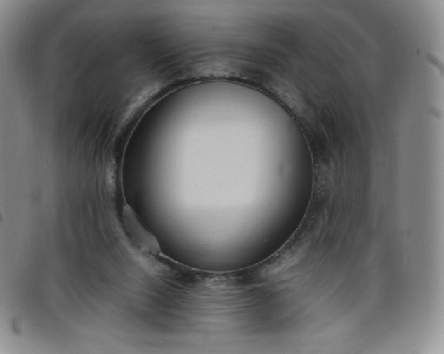 X0000099230064200805011145