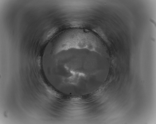 X0000099230066200805011145