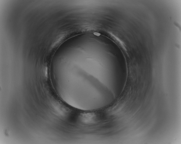 X0000099230067200805011145