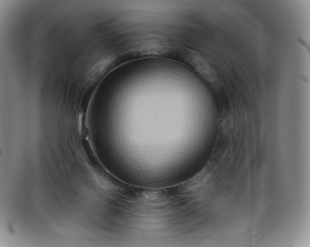 X0000099230070200805011145