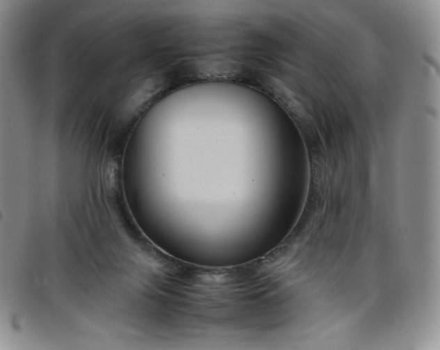 X0000099230071200805011145