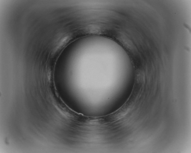 X0000099230072200805011145