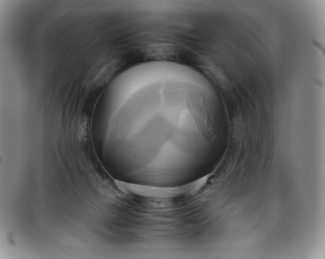 X0000099230073200805011145