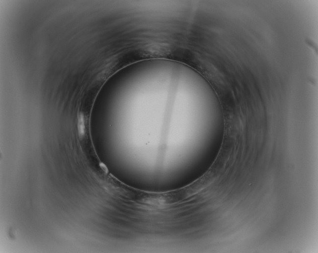 X0000099230075200805011145