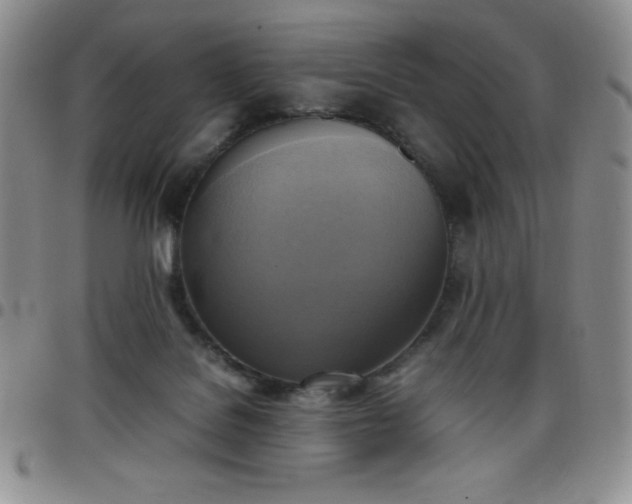 X0000099230076200805011145