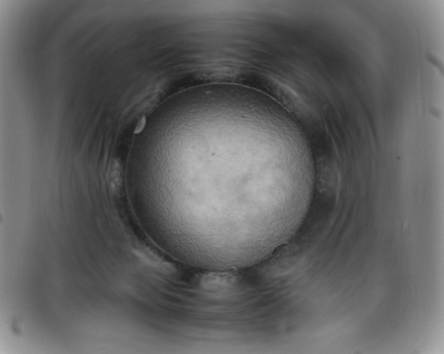 X0000099230077200805011145