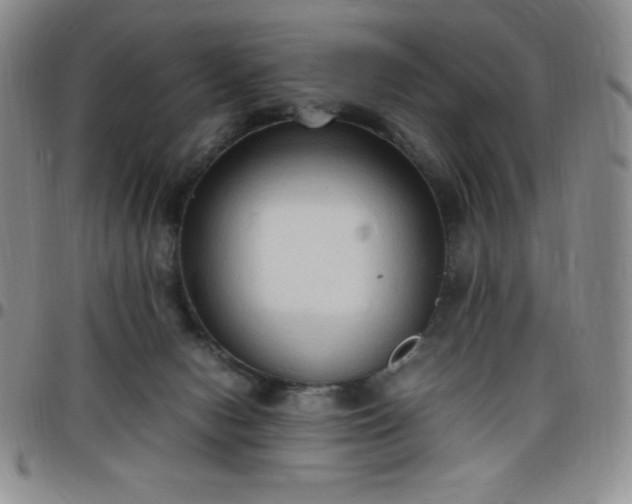 X0000099230078200805011145