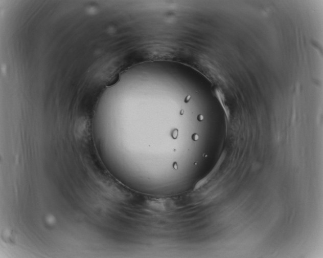 X0000099230079200805011145