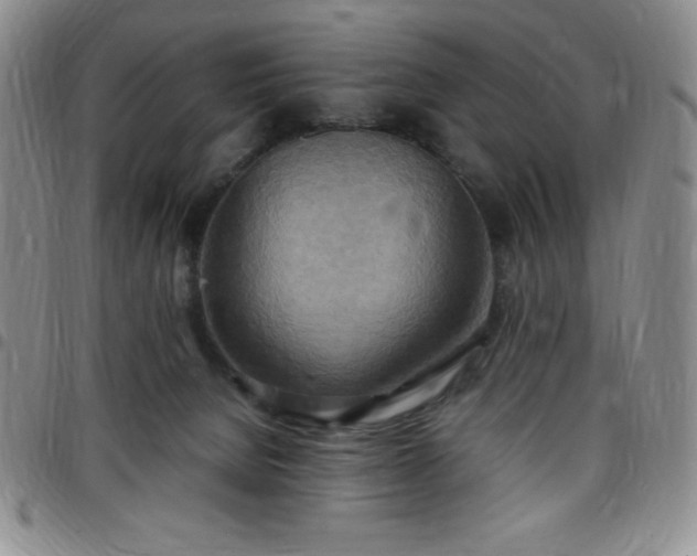 X0000099230080200805011145