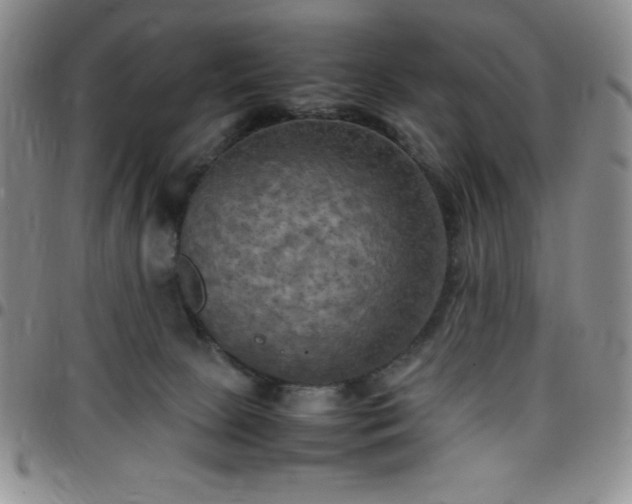 X0000099230081200805011146