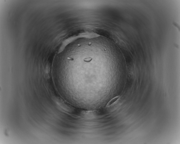 X0000099230082200805011146