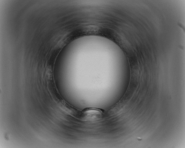 X0000099230083200805011146